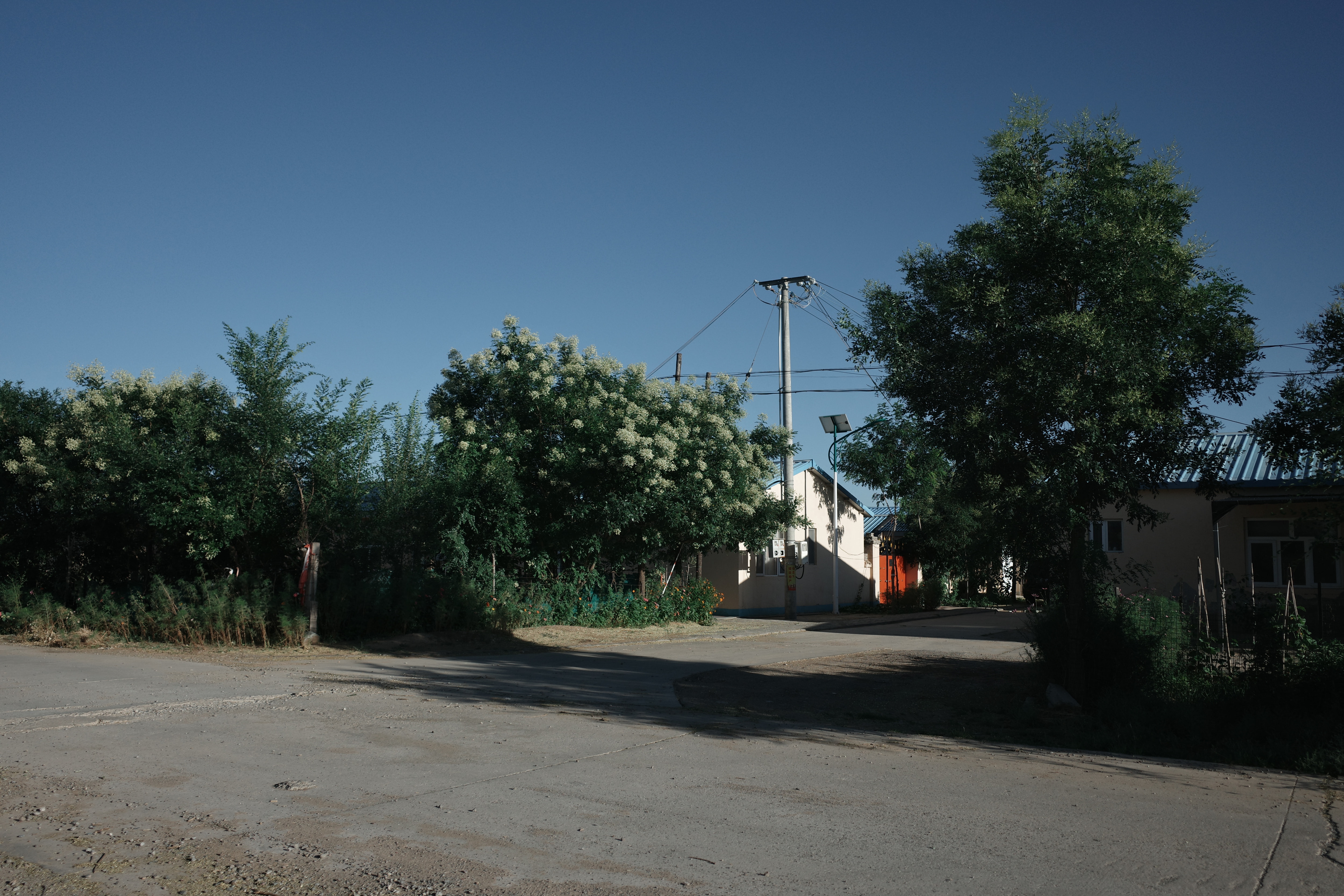 Quiet village street corner with a solar streetlamp and a power pole against a clear sky