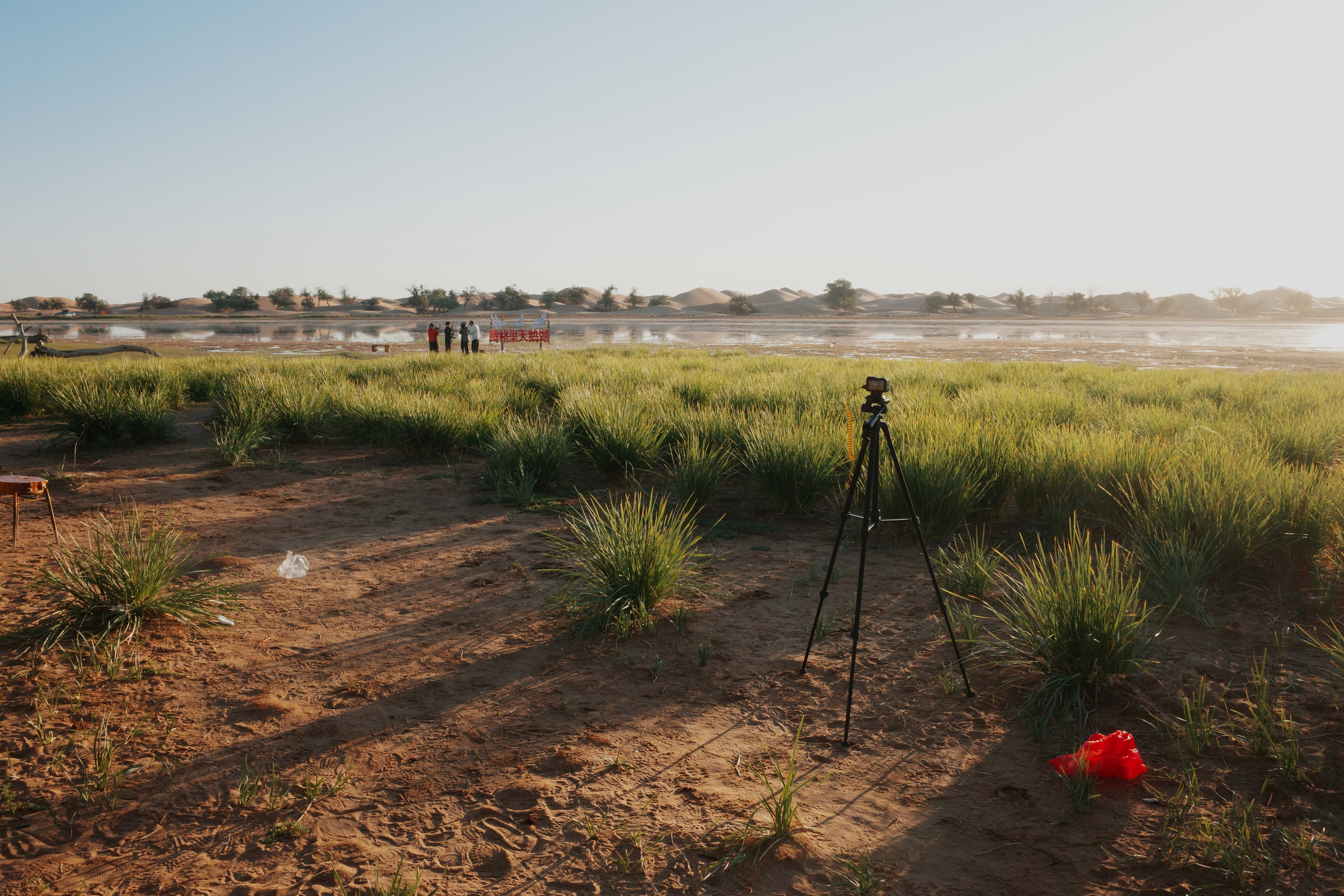 Camera on a tripod in tall marsh grass facing the wetland, a small group at the lake sign in the distance