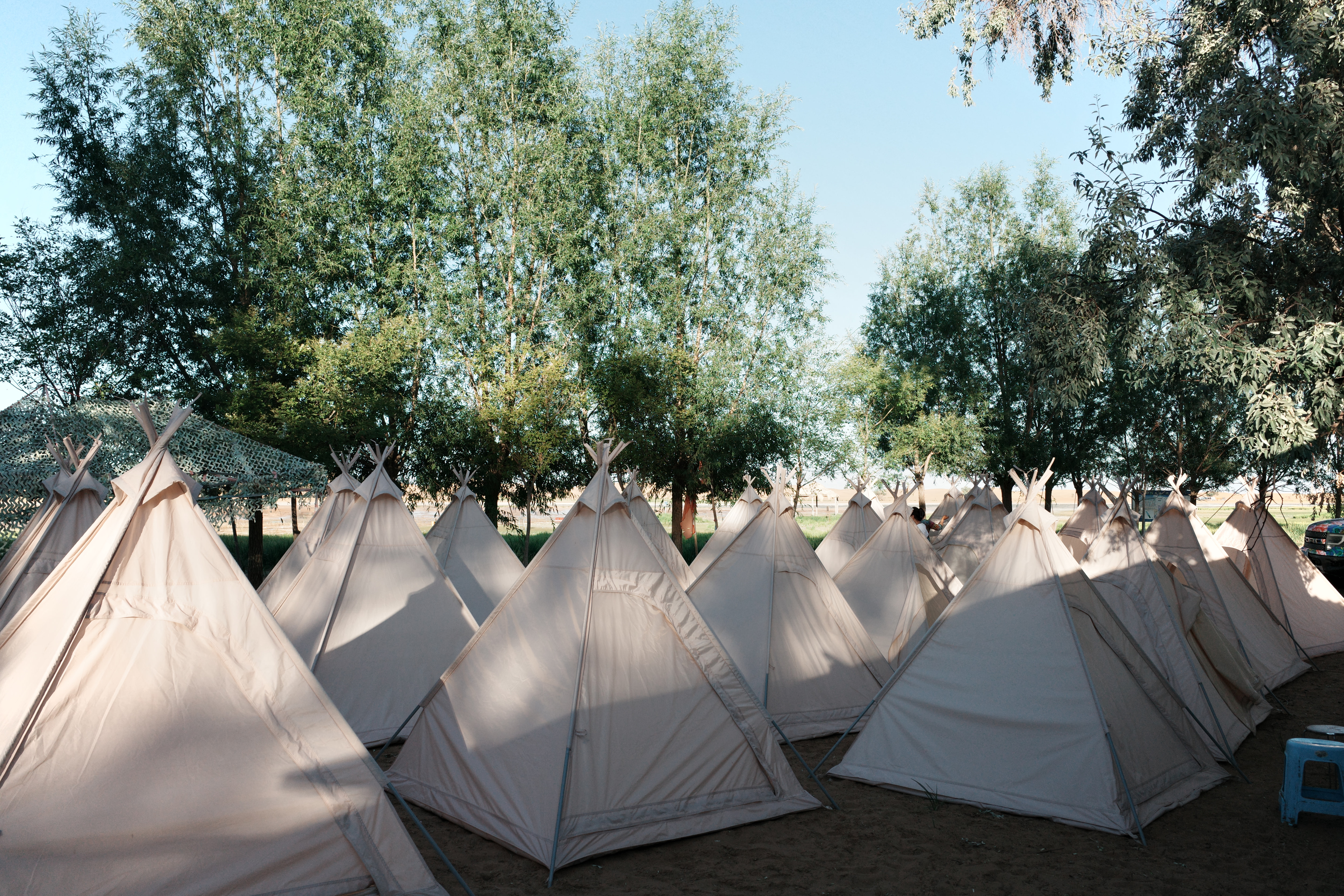 Rows of canvas teepee tents pitched among trees at a desert glamping camp