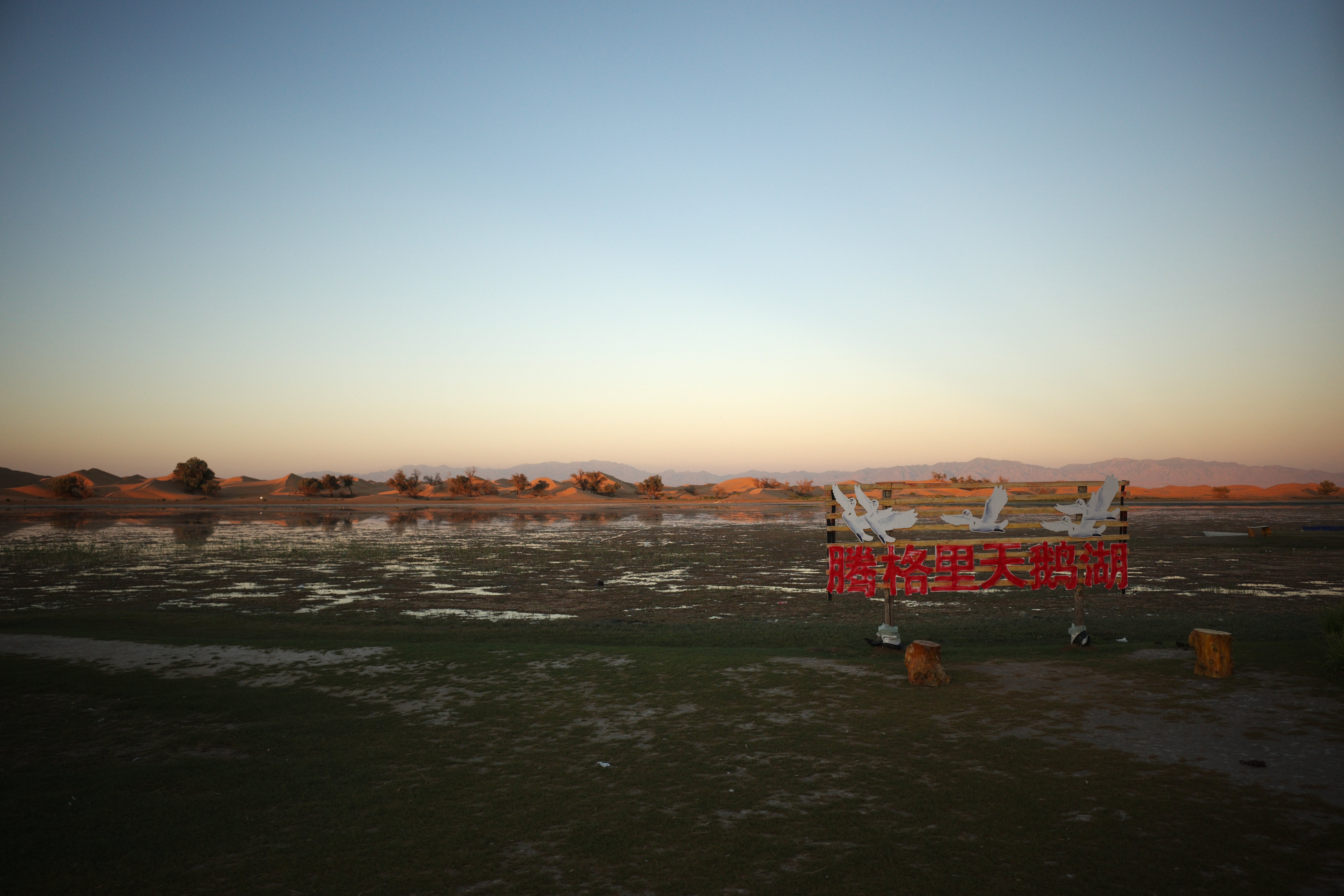 Wooden sign painted with swans reading Tengger Swan Lake, wetland and dunes behind at dusk