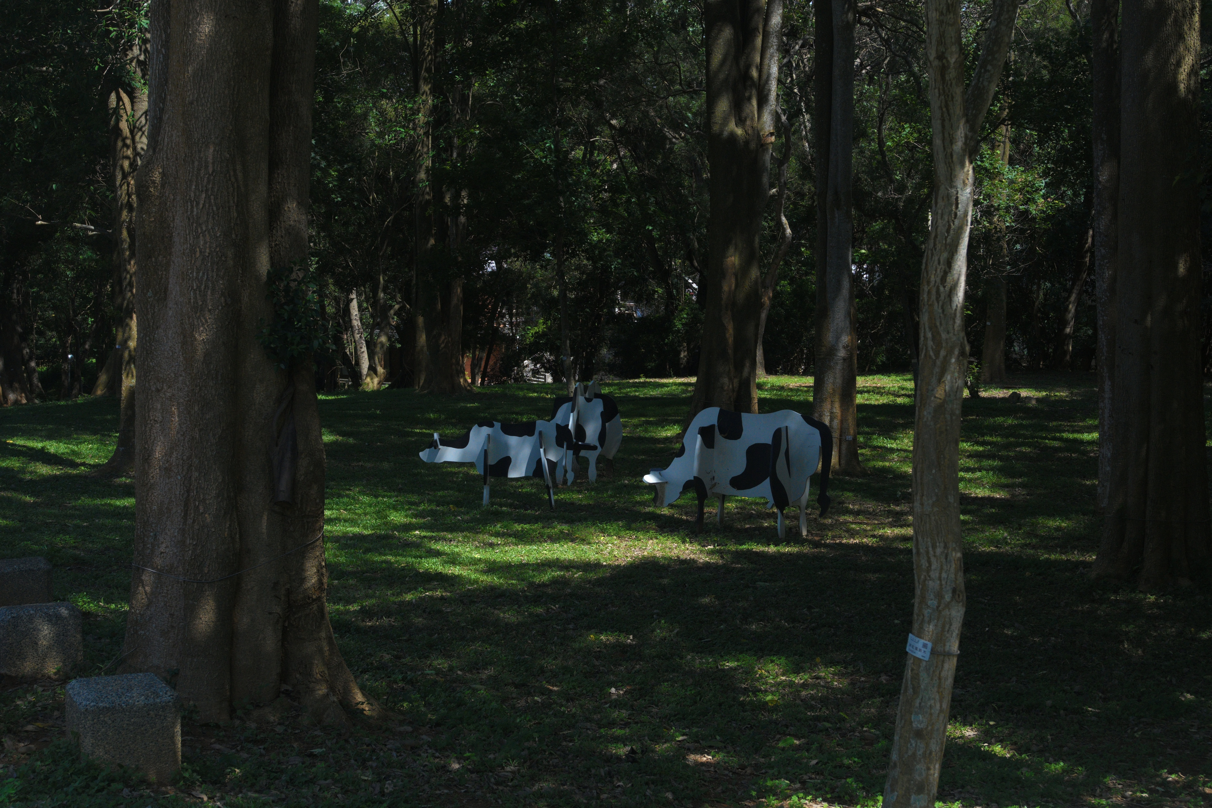 Taiwan photograph
