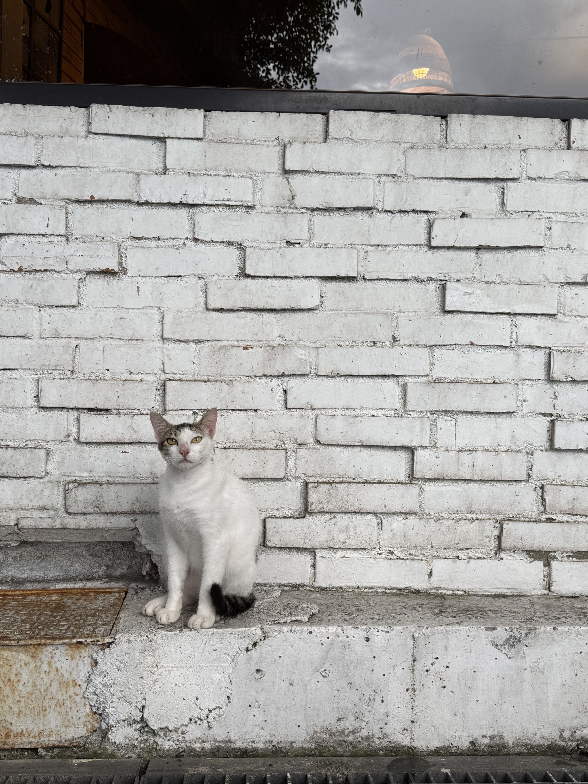 Taiwan photograph