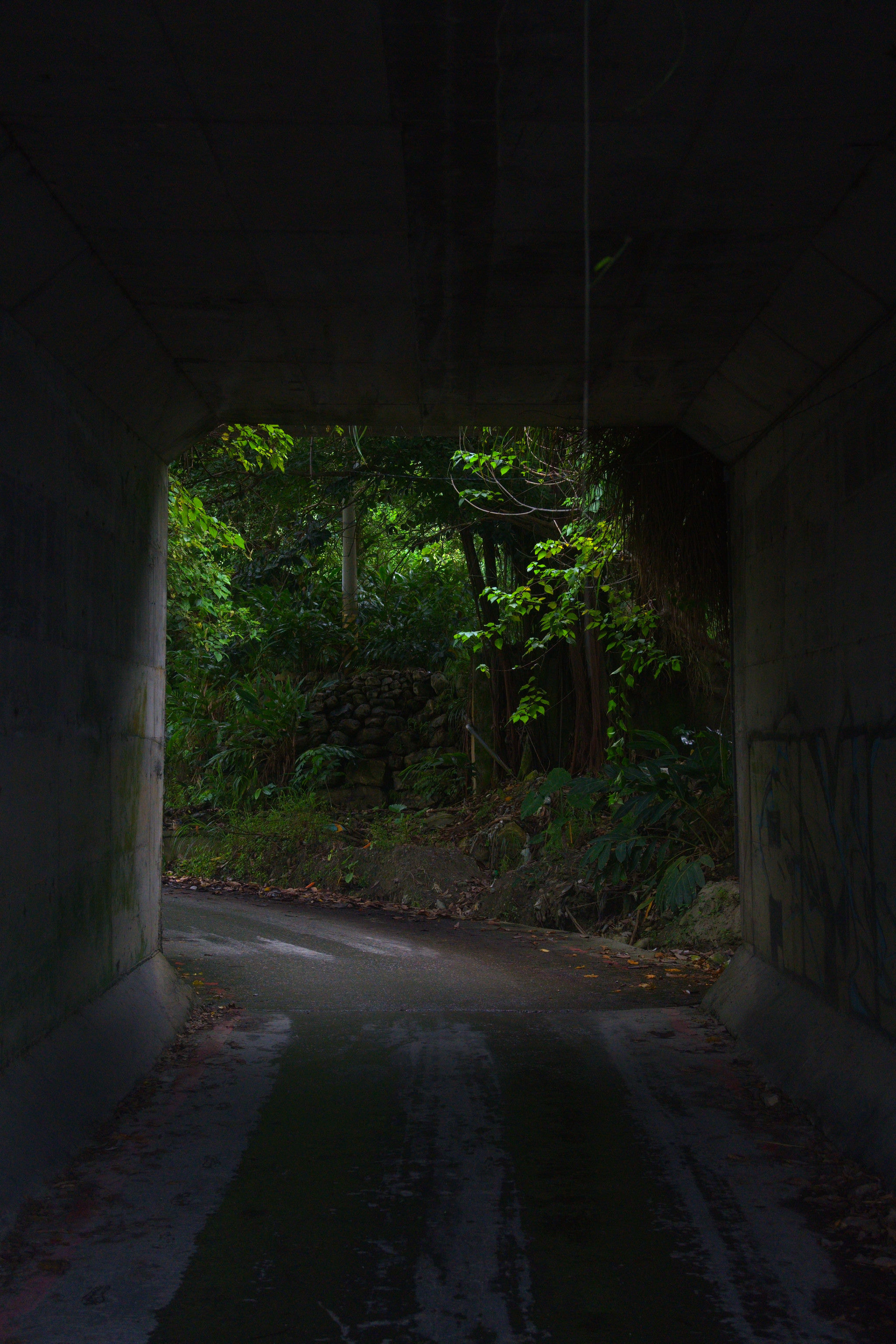 Taiwan photograph